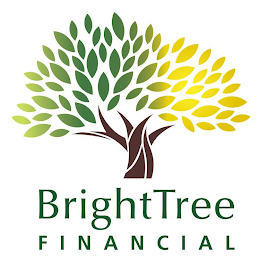 BRIGHTTREE FINANCIAL logo