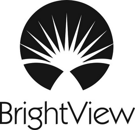 BRIGHTVIEW logo