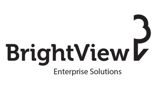 BRIGHTVIEW ENTERPRISE SOLUTIONS BV logo