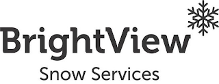 BRIGHTVIEW SNOW SERVICES logo