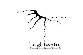 BRIGHTWATER GROUP logo
