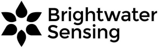BRIGHTWATER SENSING