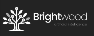 BRIGHTWOOD ARTIFICIAL INTELLIGENCE logo