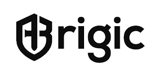 BRIGIC logo