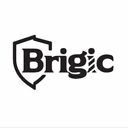 BRIGIC logo