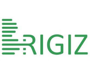 BRIGIZ logo