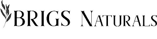BRIGS NATURALS logo