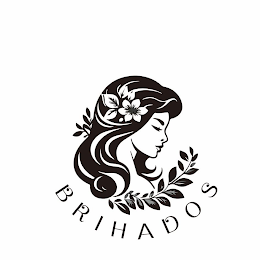 BRIHADOS logo