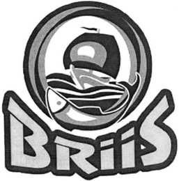 BRIIS logo