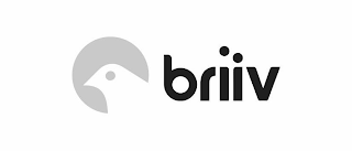 BRIIV logo