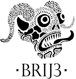 BRIJ3 logo