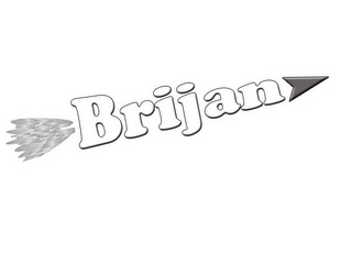 BRIJAN logo