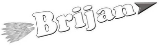 BRIJAN logo