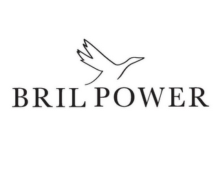 BRIL POWER logo