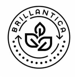 BRILLANTICA logo