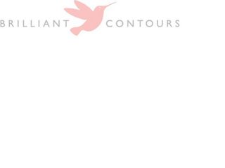 BRILLIANT CONTOURS logo