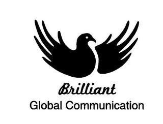 BRILLIANT GLOBAL COMMUNICATION logo
