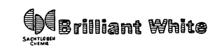 BRILLIANT WHITE SACHTLEBEN CHEMIE logo