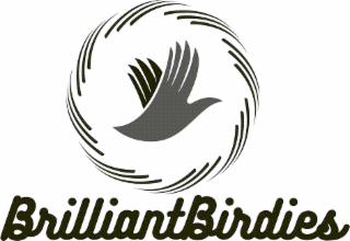 BRILLIANTBIRDIES logo