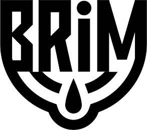 BRIM logo
