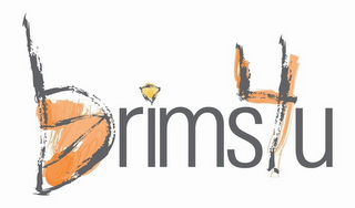 BRIMS4U logo