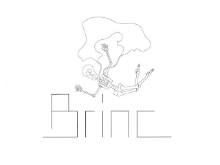 BRINC logo