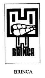 BRINCA BRINCA logo