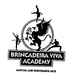 BRINCADEIRA VIVA ACADEMY MARTIAL AND PERFORMING ARTS