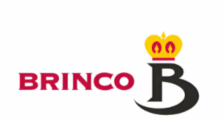 BRINCO B logo
