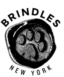 BRINDLES NEW YORK logo