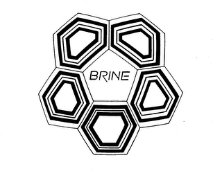 BRINE logo