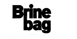 BRINE BAG logo