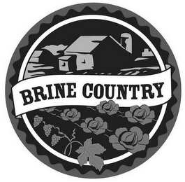 BRINE COUNTRY logo