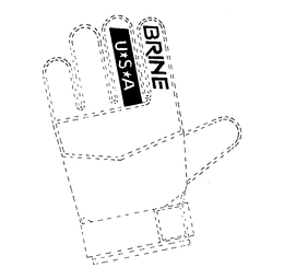 BRINE U*S*A logo