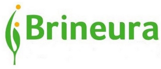 BRINEURA logo
