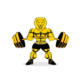 BRING IT FITNESS logo