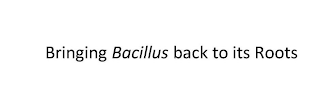 BRINGING BACILLUS BACK TO ITS ROOTS logo