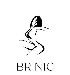BRINIC logo