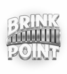BRINK POINT logo