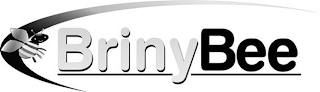 BRINY BEE logo