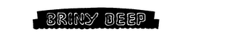 BRINY DEEP logo