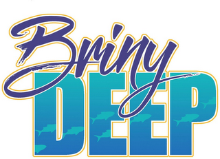 BRINY DEEP logo