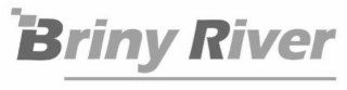 BRINY RIVER logo