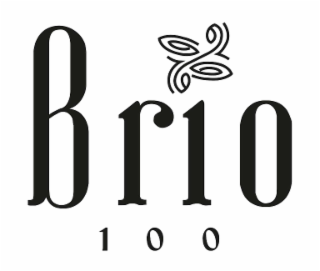 BRIO 100