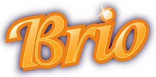 BRIO logo