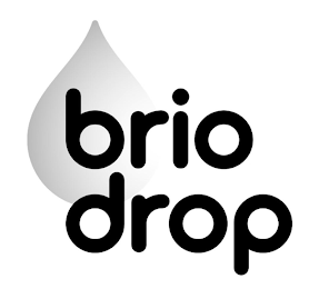 BRIO DROP logo