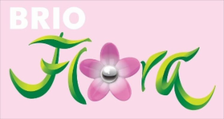 BRIO FLORA logo