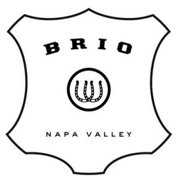 BRIO NAPA VALLEY logo