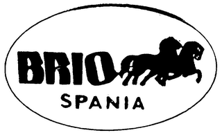 BRIO SPANIA logo