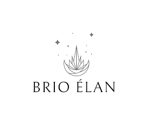 BRIO ÉLAN logo